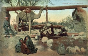 Sakia, Opper-Egypte (kleur foto)