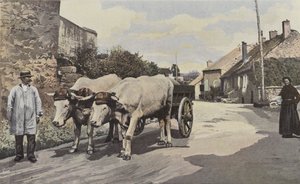 Saulieu, Een rijtuig in de Morvan door French Photographer