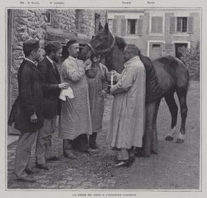 Een bloedmonster nemen van een paard bij het Institut Pasteur, Parijs