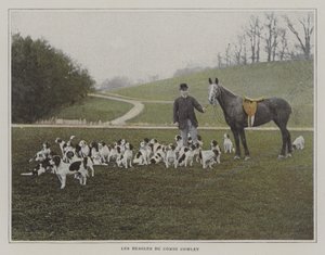 De beagles van Graaf Cowley door French Photographer