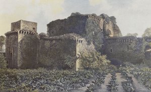 Tiffauges, Ruïnes van het Kasteel, Uitzicht vanaf de binnenplaats