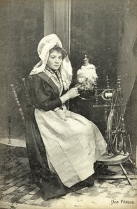 Een spinster
