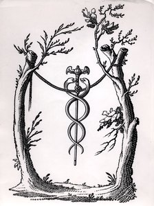 Een caduceus