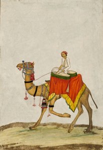 Een kameel met zijn berijder die drums speelt, ca. 1840