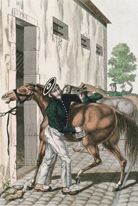 Een Dragonder die zijn paard verzorgt, plaat 257 uit een serie van Franse Keizerlijke soldaten, ca. 1800-10
