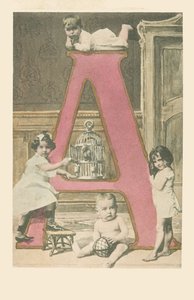 A: Vier jonge kinderen, een kooi en een kaketoe