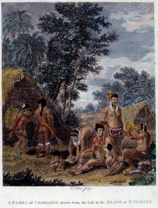 Een familie van Karib-indianen van het eiland Saint Vincent in West-Indië Gravure uit de 19e eeuw Chartres Museum voor Schone Kunsten door French School