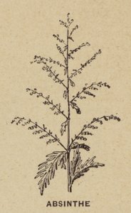 Absint