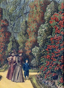 Acclimatietuin - la serre des camelias - Cameliakas in een botanische tuin door French School