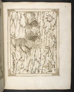 MS 21117 f.7r Le Monthullin, Frankrijk, uit 