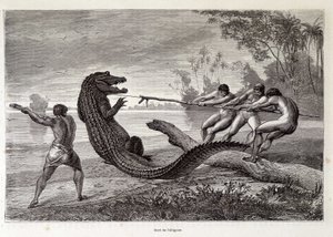 Alligatorjacht, Brazilië, 