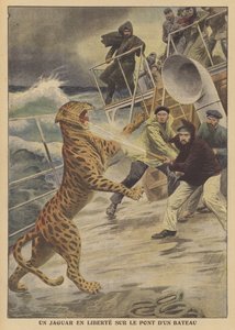 Een ontsnapte jaguar los op een schip door French School