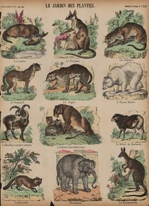 Dieren in de Jardin des Plantes, Parijs, Frankrijk door French School