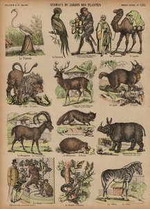 Dieren van de Jardin des Plantes, Parijs, Frankrijk door French School