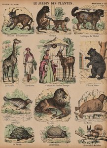 Dieren van de Jardin des Plantes, Parijs, Frankrijk door French School