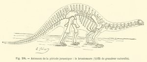 Dieren uit de Jura-periode, de brontosaurus