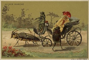 Au Bon Marche kaarten met antropomorfe insecten door French School