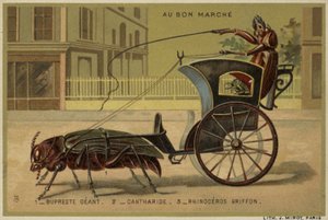 Au Bon Marche kaarten met antropomorfe insecten door French School
