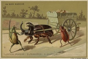 Au Bon Marche kaarten met antropomorfe insecten