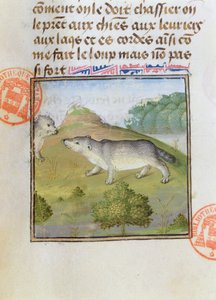 Dasssen, uit het Livre de la Chasse door Gaston Phebus de Foix (1331-91) door French School