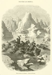 Boot aangevallen door walrussen (gravure) door French School