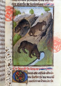 Beren, uit het Livre de la Chasse door Gaston Phebus