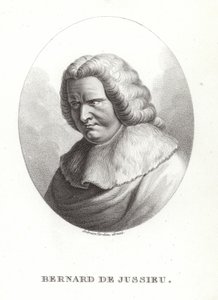 Bernard de Jussieu door French School