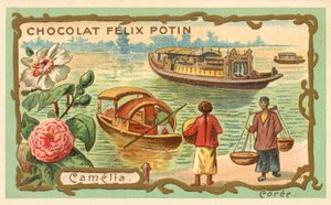 Camelia, Korea (chromolitho) door French School