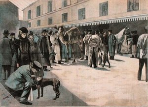 Verzorging van een kameel aan de Ecole Nationale Veterinaire d