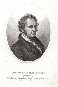 Charles-François Brisseau de Mirbel door French School