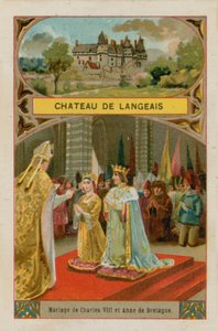 Kasteel van Langeais door French School
