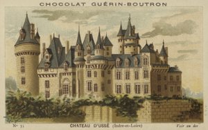 Kasteel van Usse, Indre-et-Loire door French School