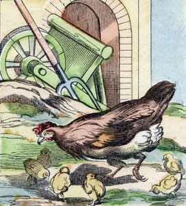 Kip en kuikens. Gravure in "Buffon Alphabet des Oiseaux n 2". 3e Serie N 2. Imaging of Epinal, Epinal, eind 19e eeuw. 16 pagina