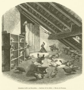 Colombier de M van Roosebeke, Interieur de la voliere door French School