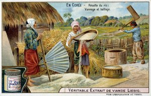 Korea: rijstoogst, weven en dorsen - chromo. Liébig, ca. 1900 door French School