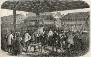 Vleesmarkt in de rue des Prouvaires in het 1e arrondissement van Parijs - Gravure in 