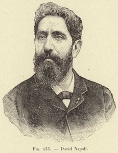 David Napoli