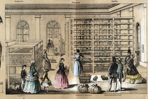 Beschrijving van cultuur en zijden producten: in het midden de magneerie met de verschillende stadia van de zijdecultuur. Plaat 