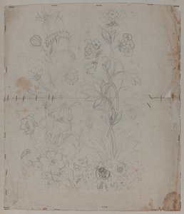 Ontwerptekening door French School