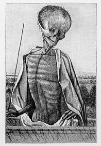 Dokter Dood, uit een Getijdenboek, illustratie uit Wetenschap en Literatuur in de Middeleeuwen en de Renaissance, geschreven en gegraveerd door Paul Lacroix, 1878