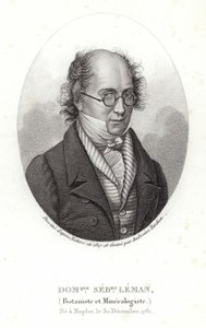 Dominique Sébastien Leman door French School