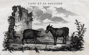Ezel en everzwijn. Fabel van Aesopus. (Griekse schrijver Aesopus, 6e eeuw v.Chr.) Geschreven door Guillaume Montfort en gegraveerd door Beauble in 1801. door French School