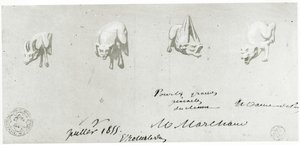 Tekening voor de Restauratie van de Waterspuwers van de Notre Dame, 1855 door French School