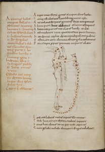 Tekening van het sterrenbeeld Waterman, met de sterren aangegeven als rode stippen, uit 
