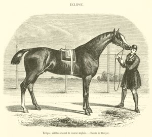 Eclipse, beroemde Engelse renpaard (gravure) door French School
