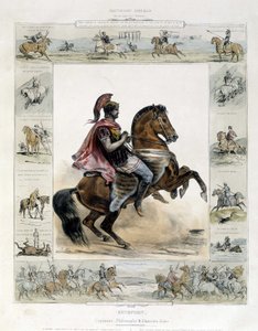 Ruiterportret van Xenophon - in 