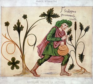 Esculapus vindt de betoneum (medicinale plant) door French School