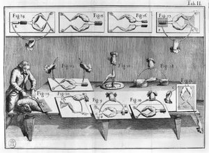 Experiment op kikkers, illustratie uit De viribus electricitatis in motu muscumari