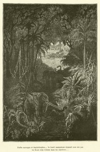 Wilde en ondoordringbare bossen... de zware mastodont verpletterde onder zijn stappen de bloemen die al in de open plekken bloeiden (gravure) door French School