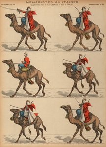 Franse leger Meharisten (kameel cavalerie) in Algerije door French School